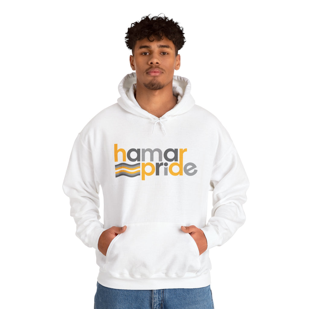 Hamar Pride Hoodie — Demigender Pride