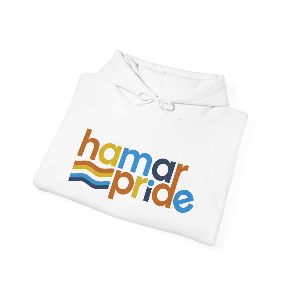 Hamar Pride Hoodie — Aroace Pride