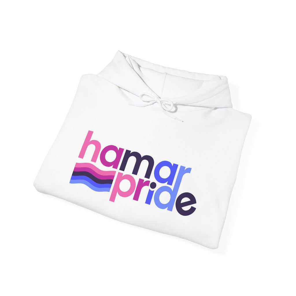 Hamar Pride Hoodie — Omnisexual Pride