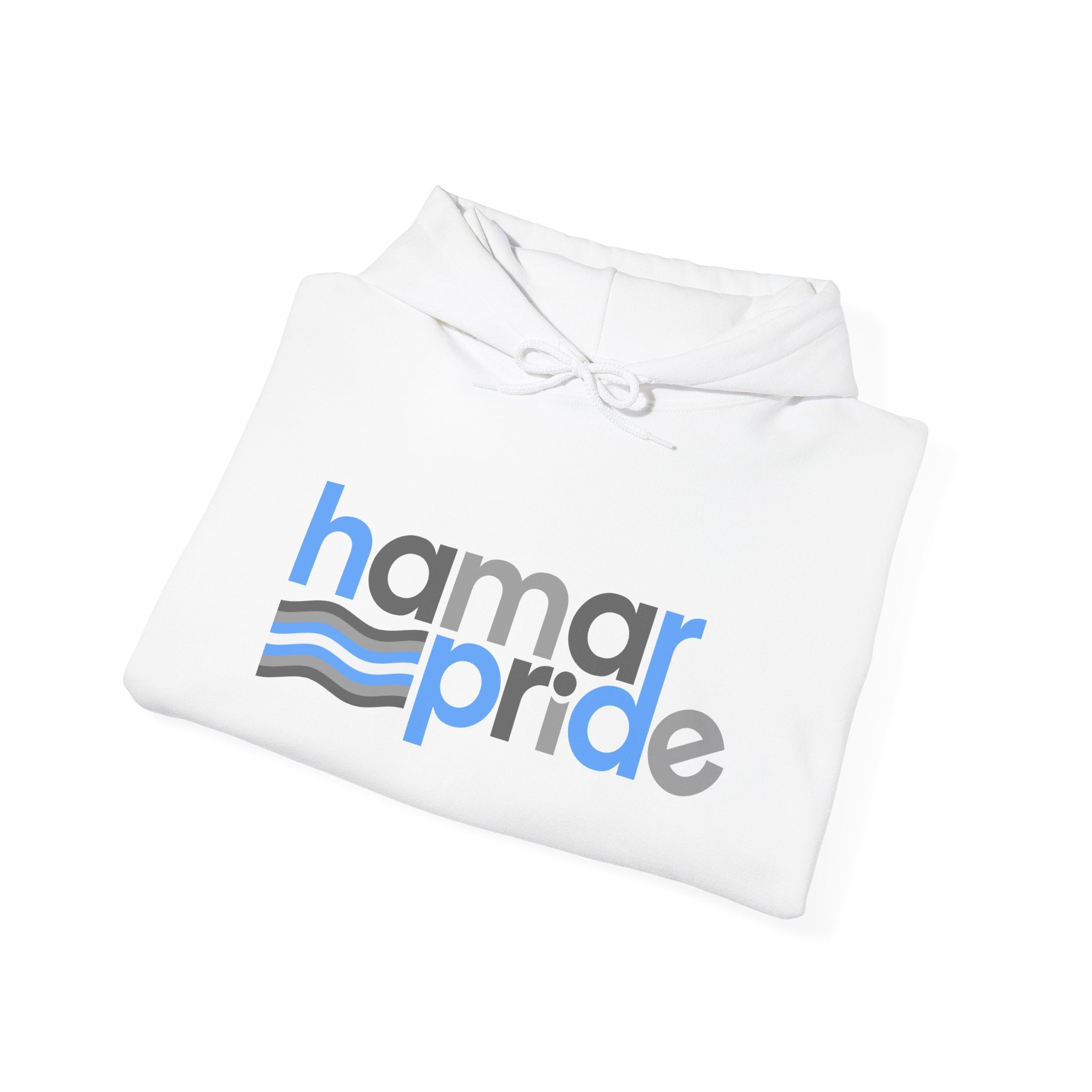 Hamar Pride Hoodie — Demiboy Pride