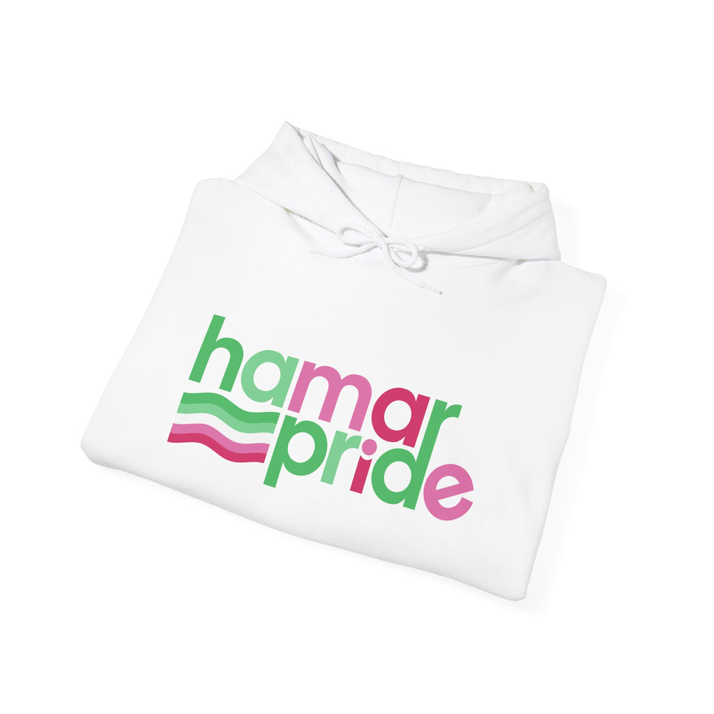 Hamar Pride Hoodie — Abrosexual Pride