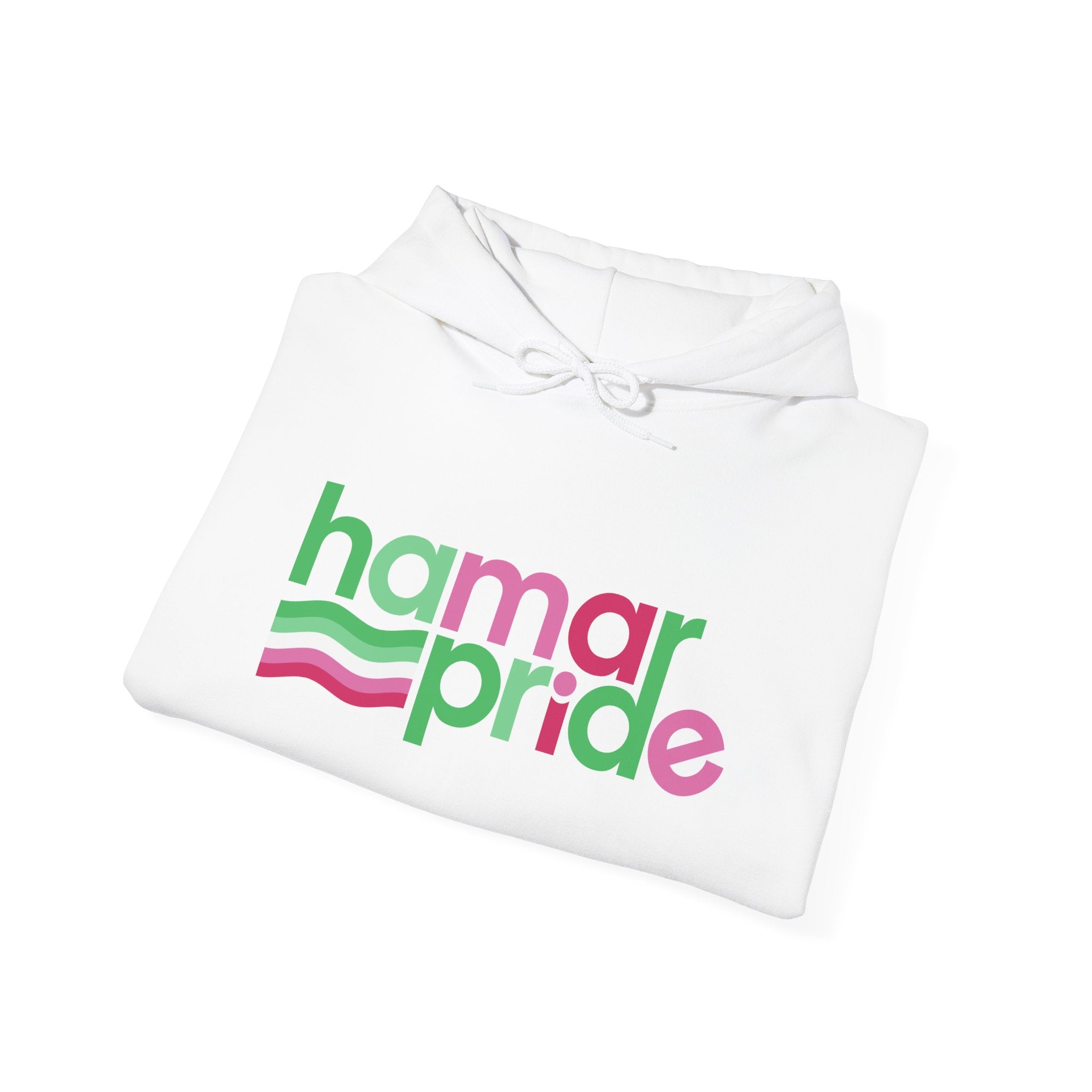 Hamar Pride Hoodie — Abrosexual Pride