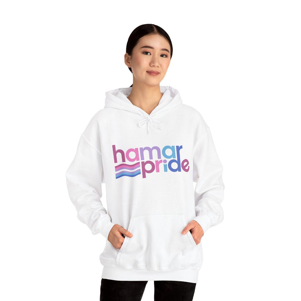 Copy of Hamar Pride Hoodie — Bigender Pride