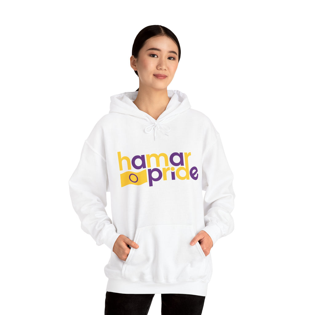 Hamar Pride Hoodie — Intersex Pride