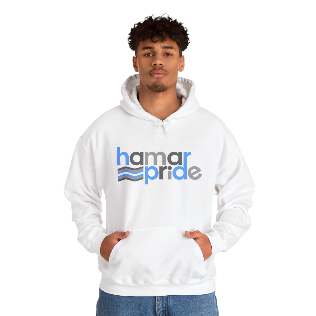 Hamar Pride Hoodie — Demiboy Pride