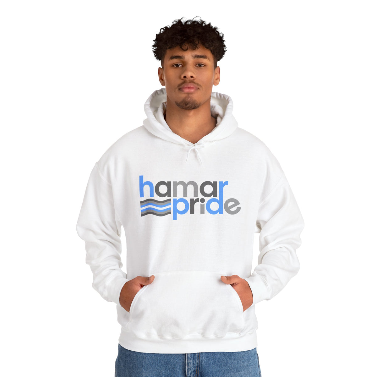Hamar Pride Hoodie — Demiboy Pride