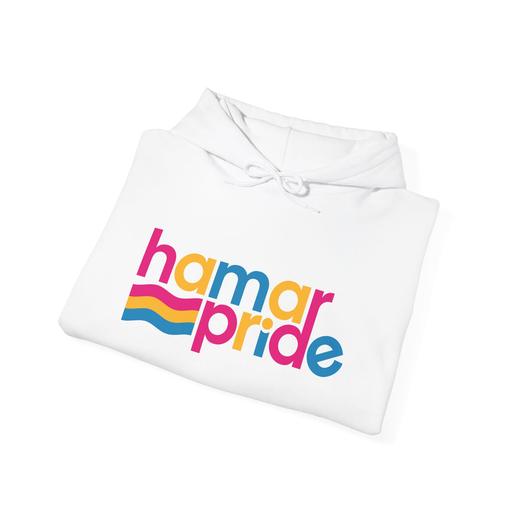 Copy of Hamar Pride Hoodie — Pangender Pride