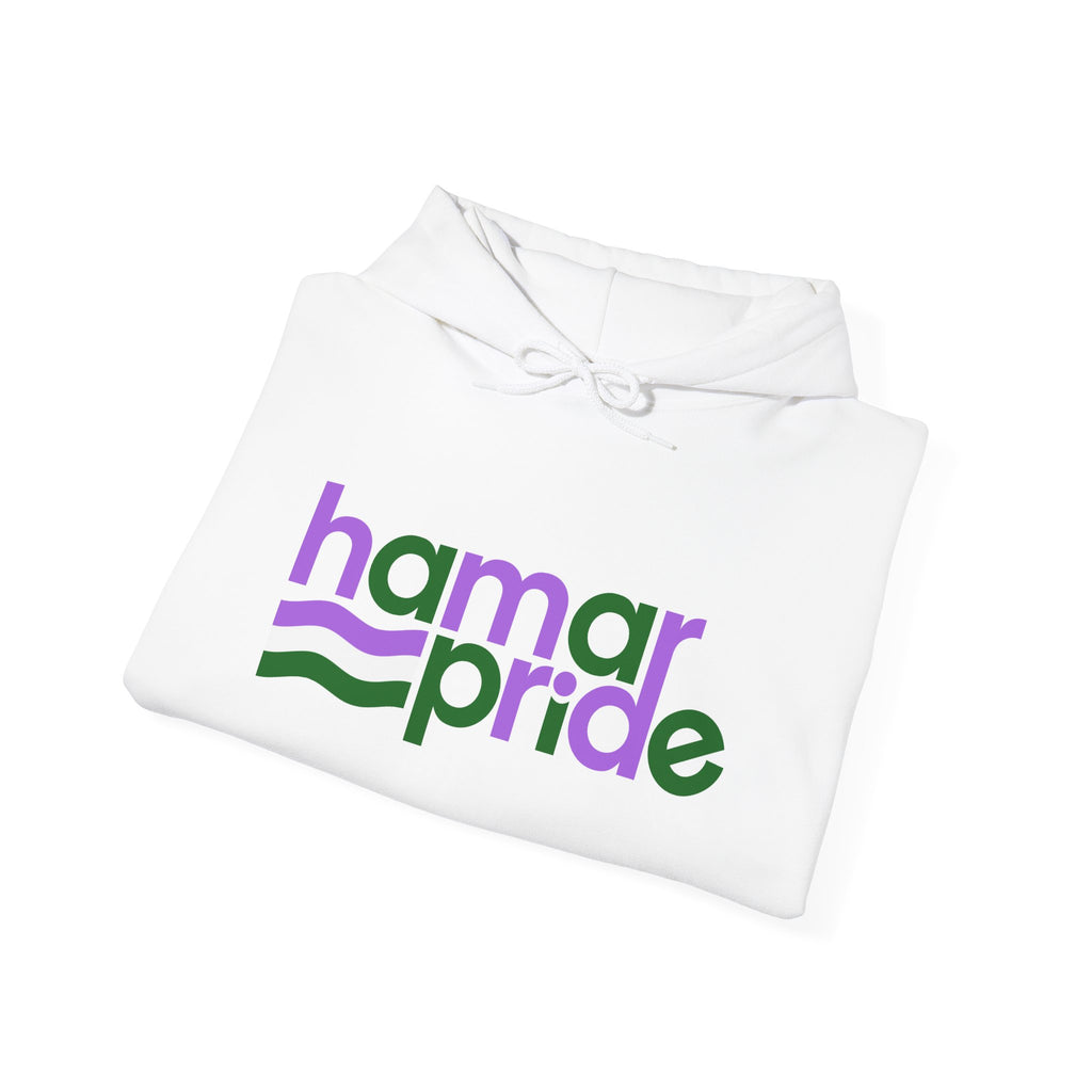 Copy of Hamar Pride Hoodie — Genderqueer Pride