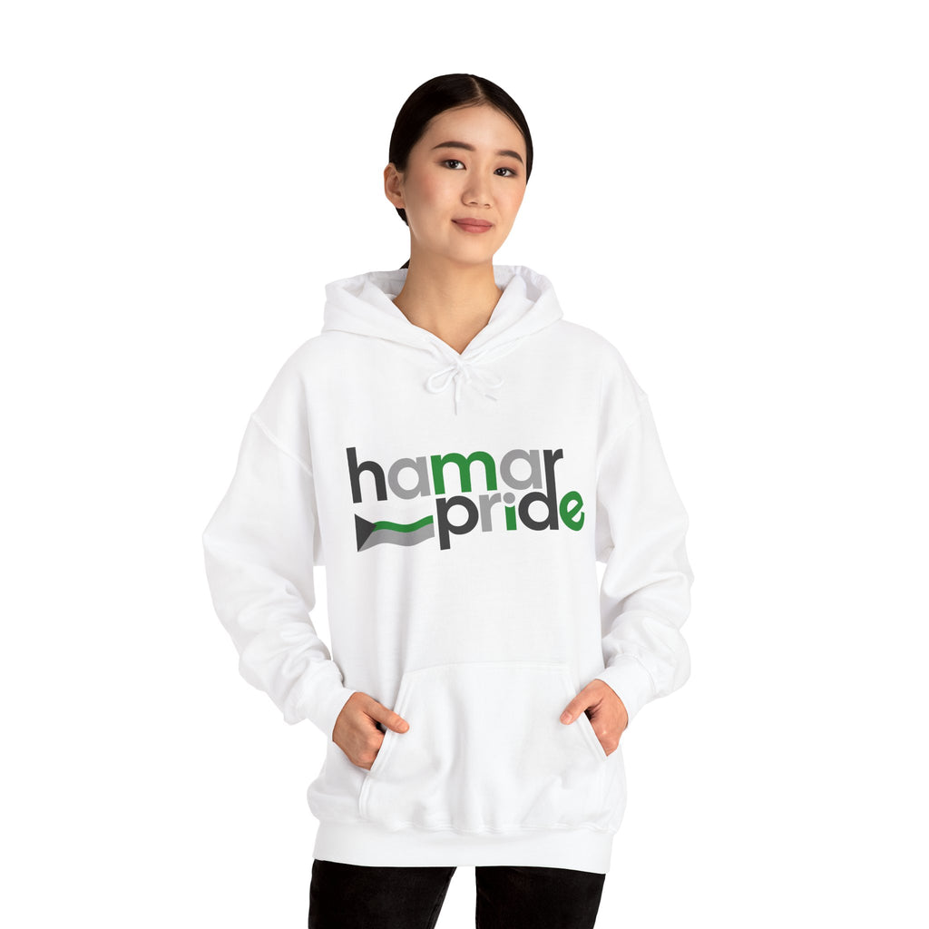Hamar Pride Hoodie — Demiromantic Pride