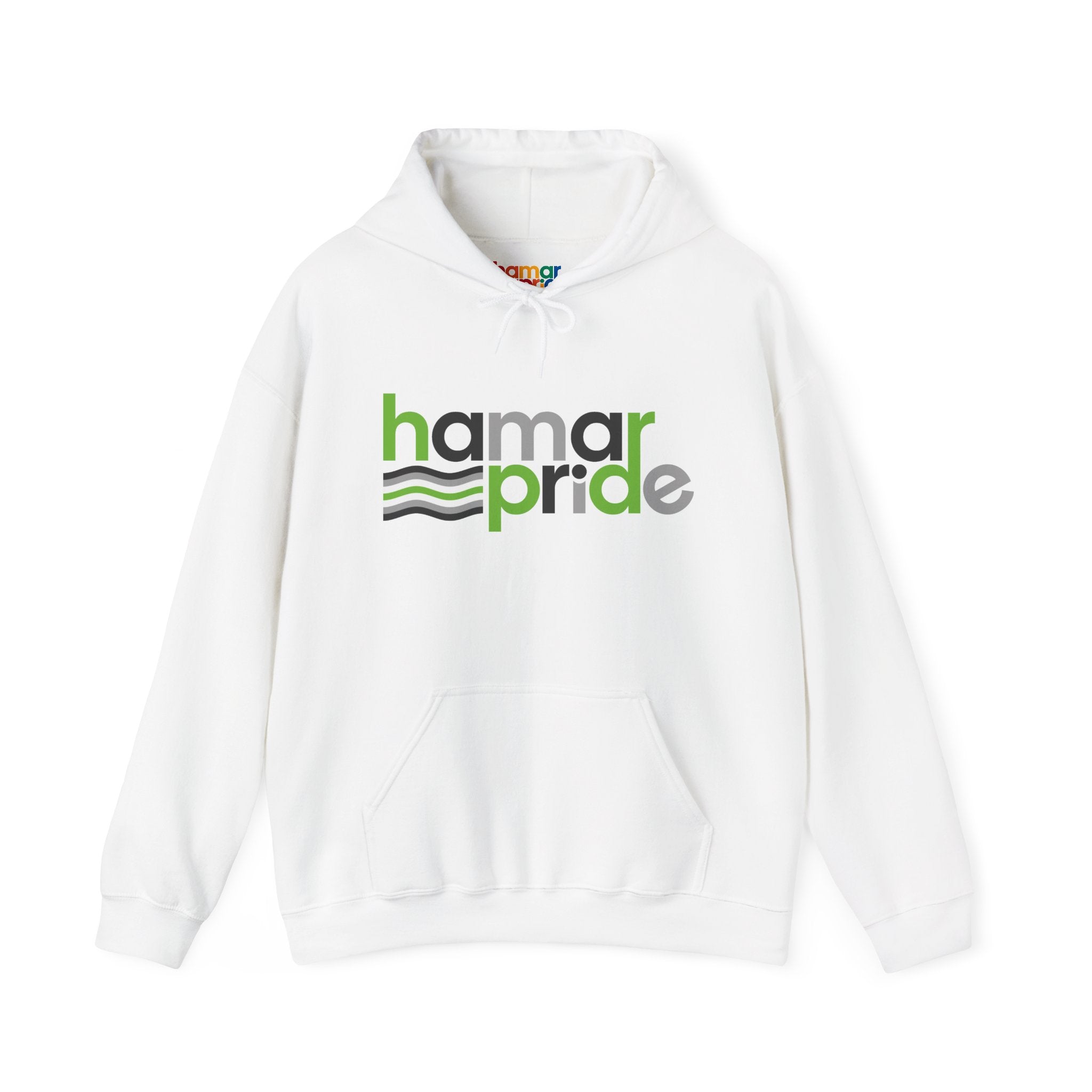 Hamar Pride Hoodie — Agender Pride