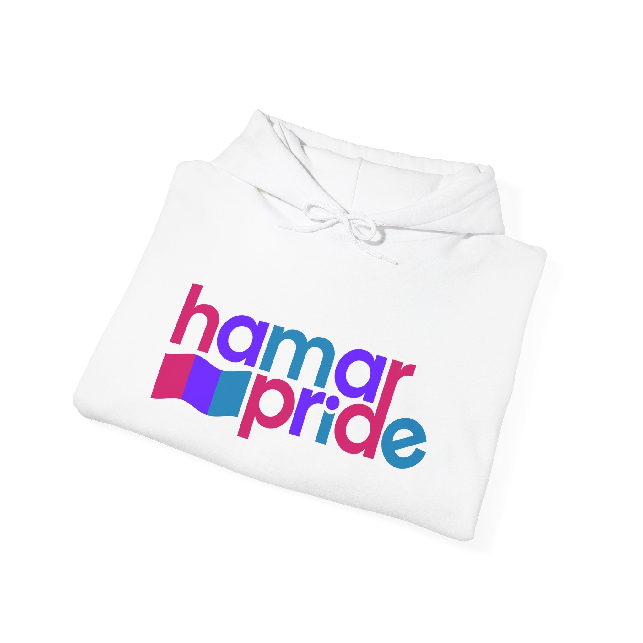 Copy of Hamar Pride Hoodie — Androgyne Pride