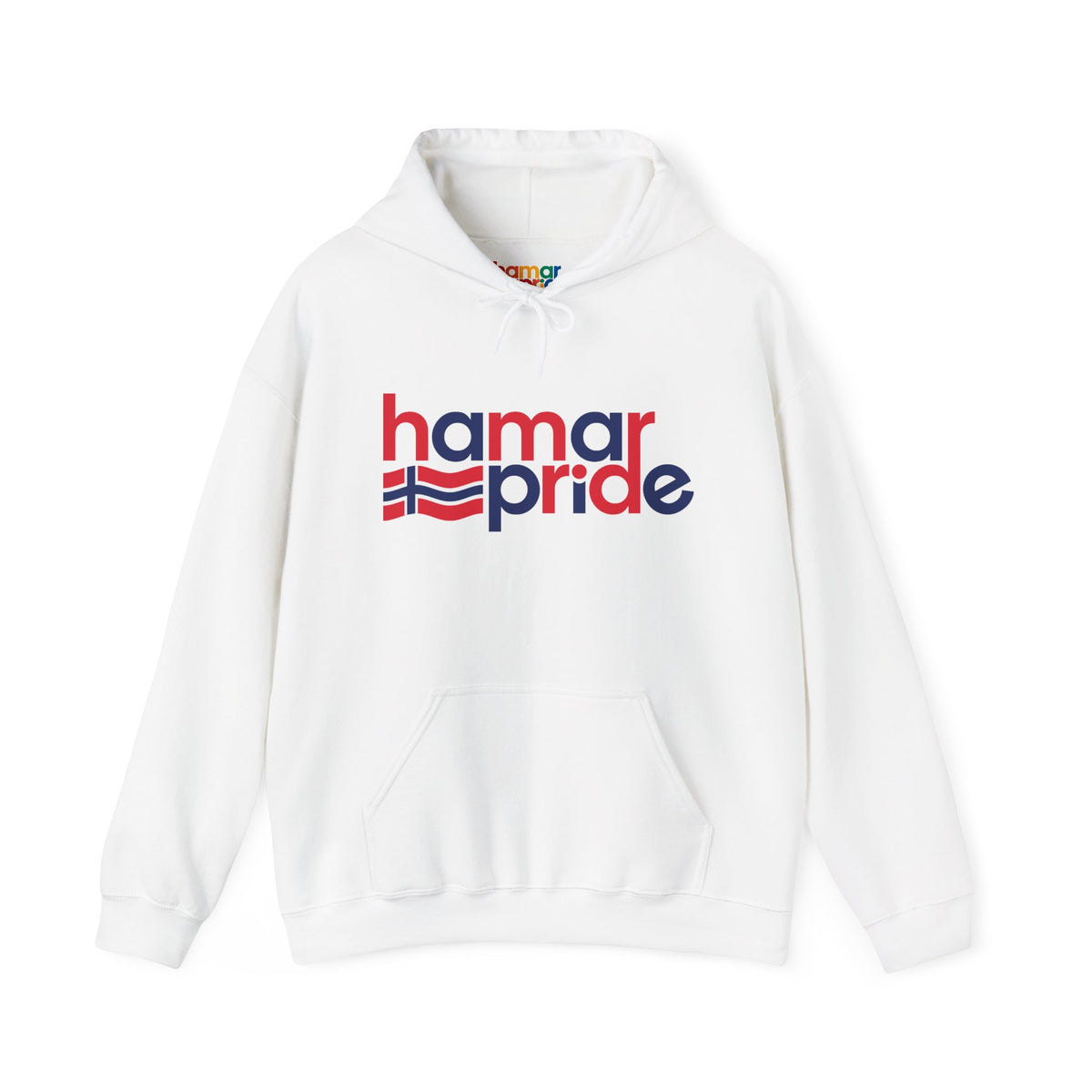 Hamar Pride Hoodie — Norway Pride