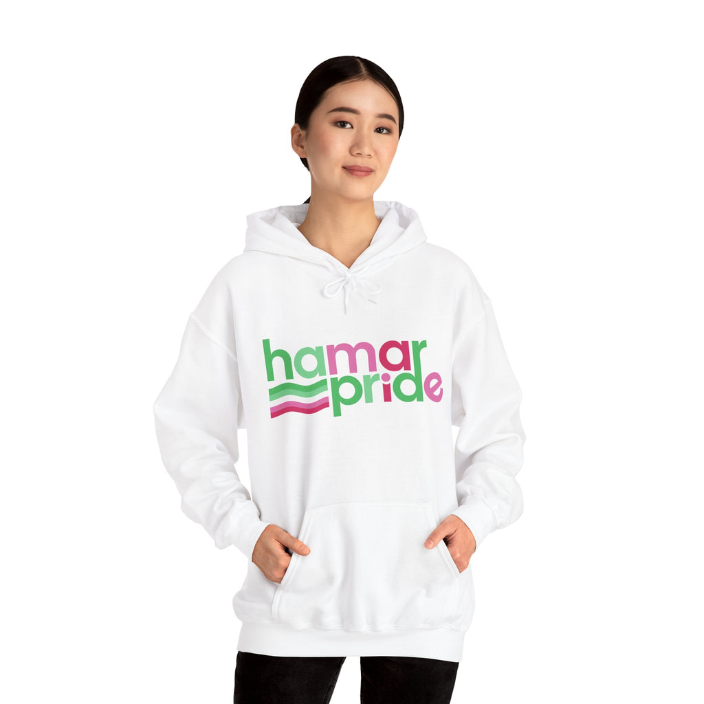 Hamar Pride Hoodie — Abrosexual Pride