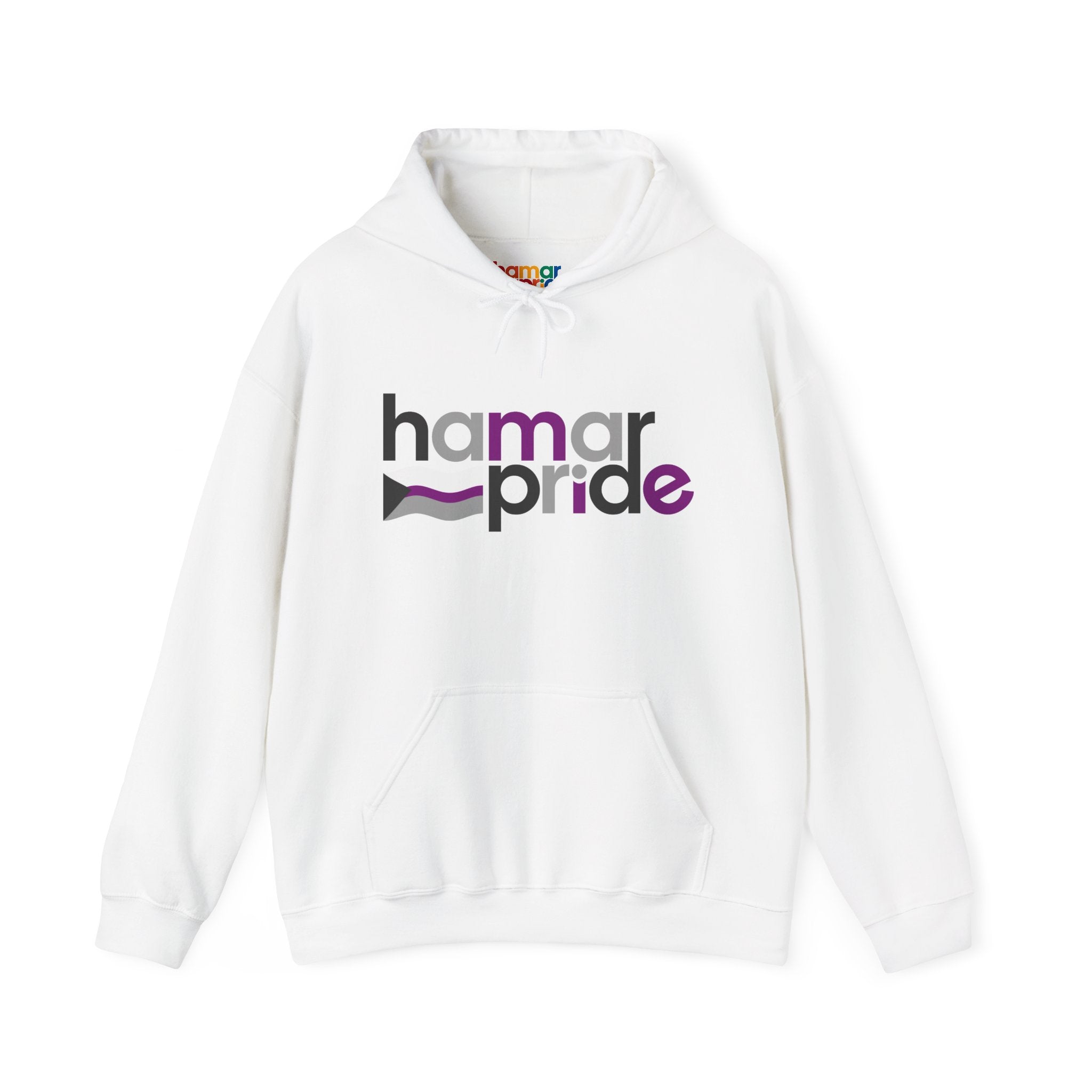 Hamar Pride Hoodie — Demisexual Pride