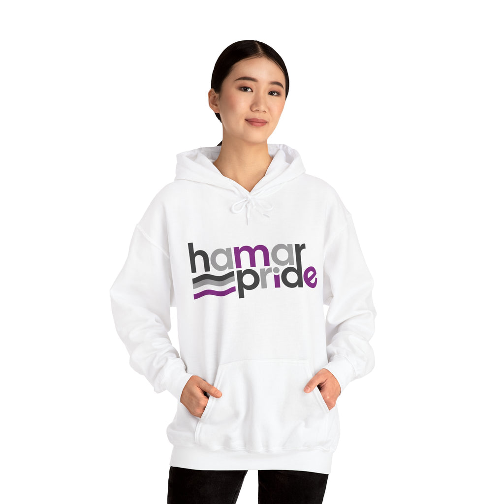 Hamar Pride Hoodie — Asexual Pride