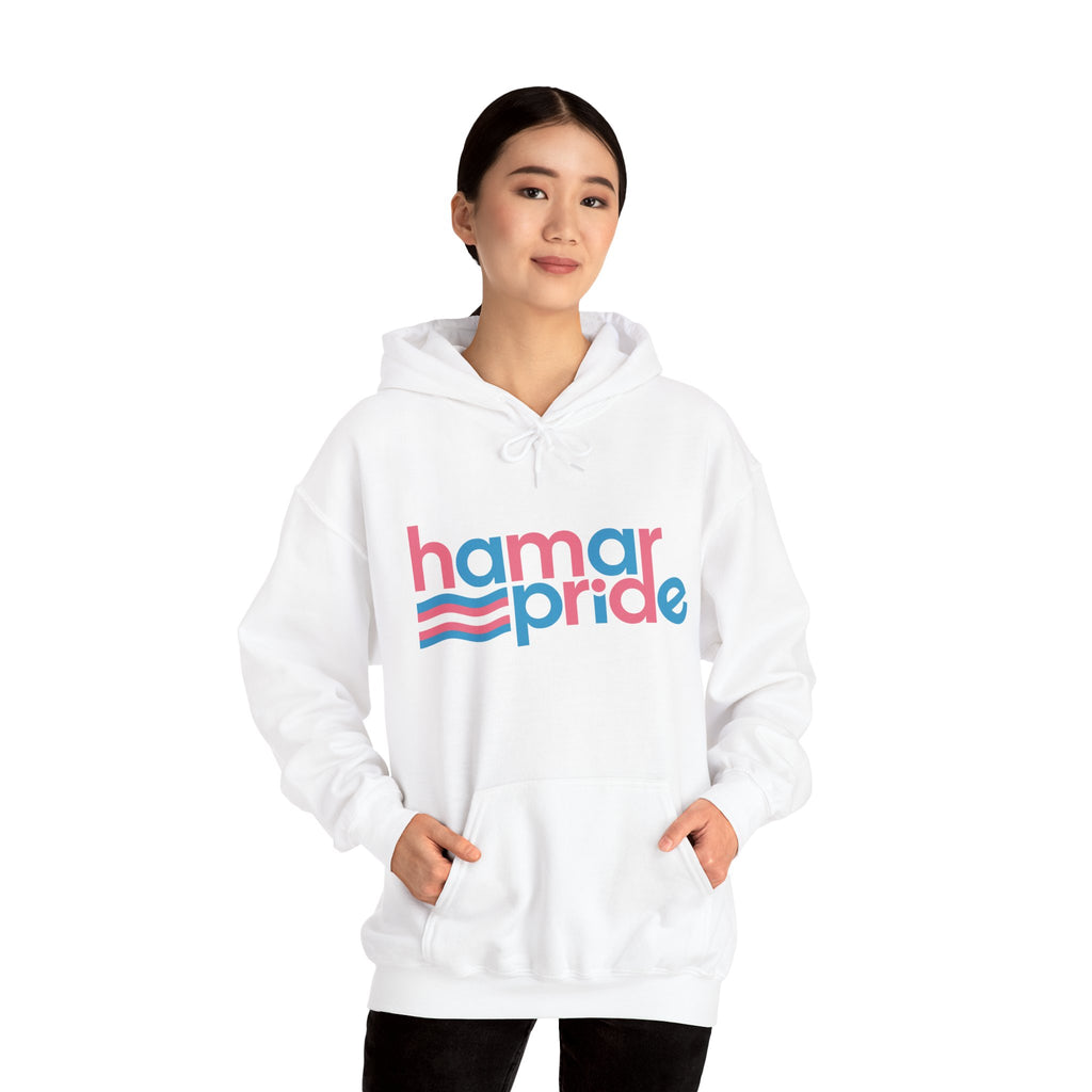 Hamar Pride Hoodie — Trans Pride