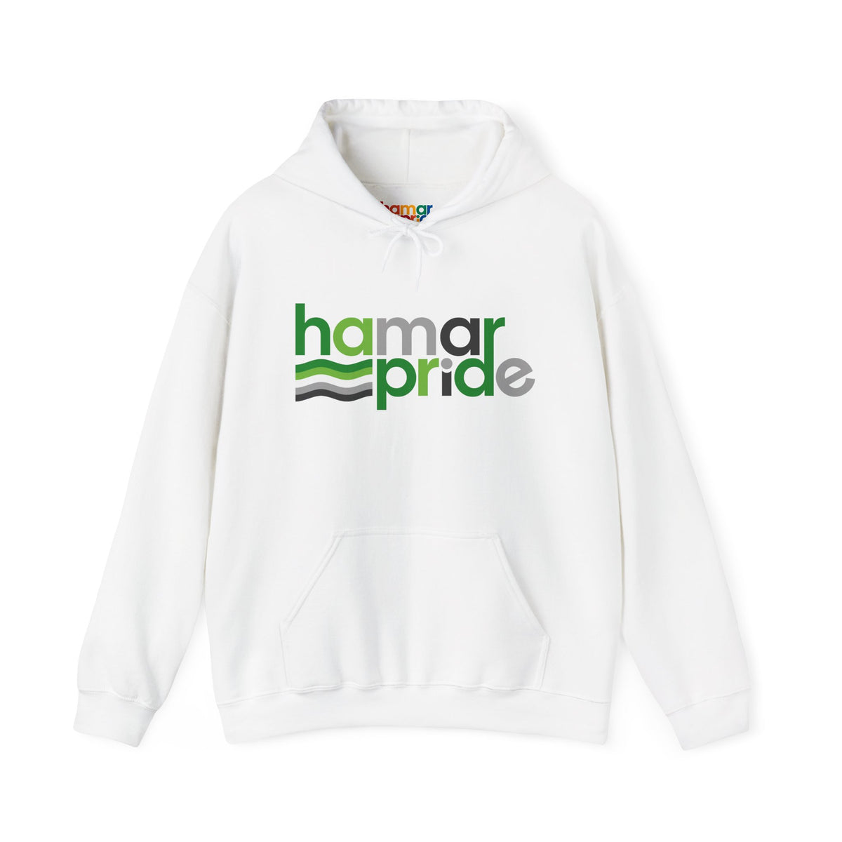 Hamar Pride Hoodie — Aromantic Pride