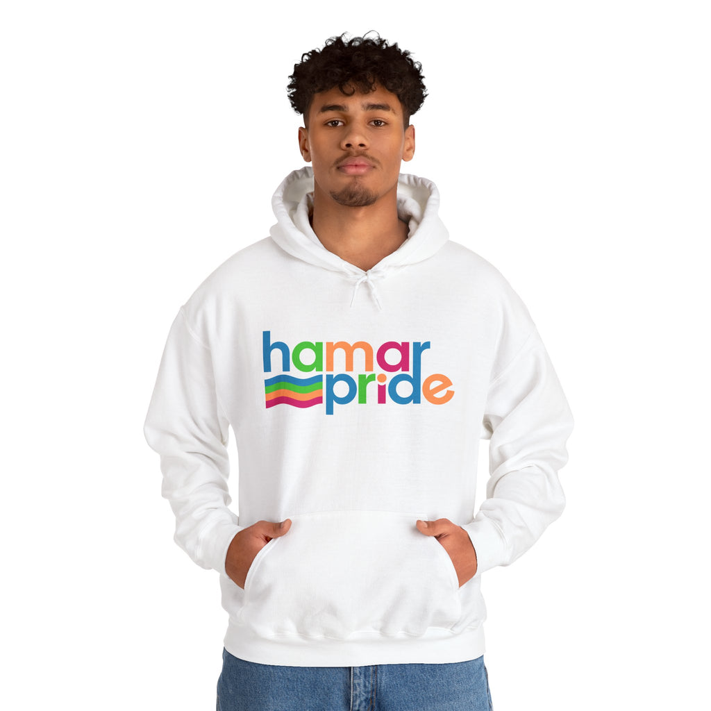Copy of Hamar Pride Hoodie — Panromantic Pride