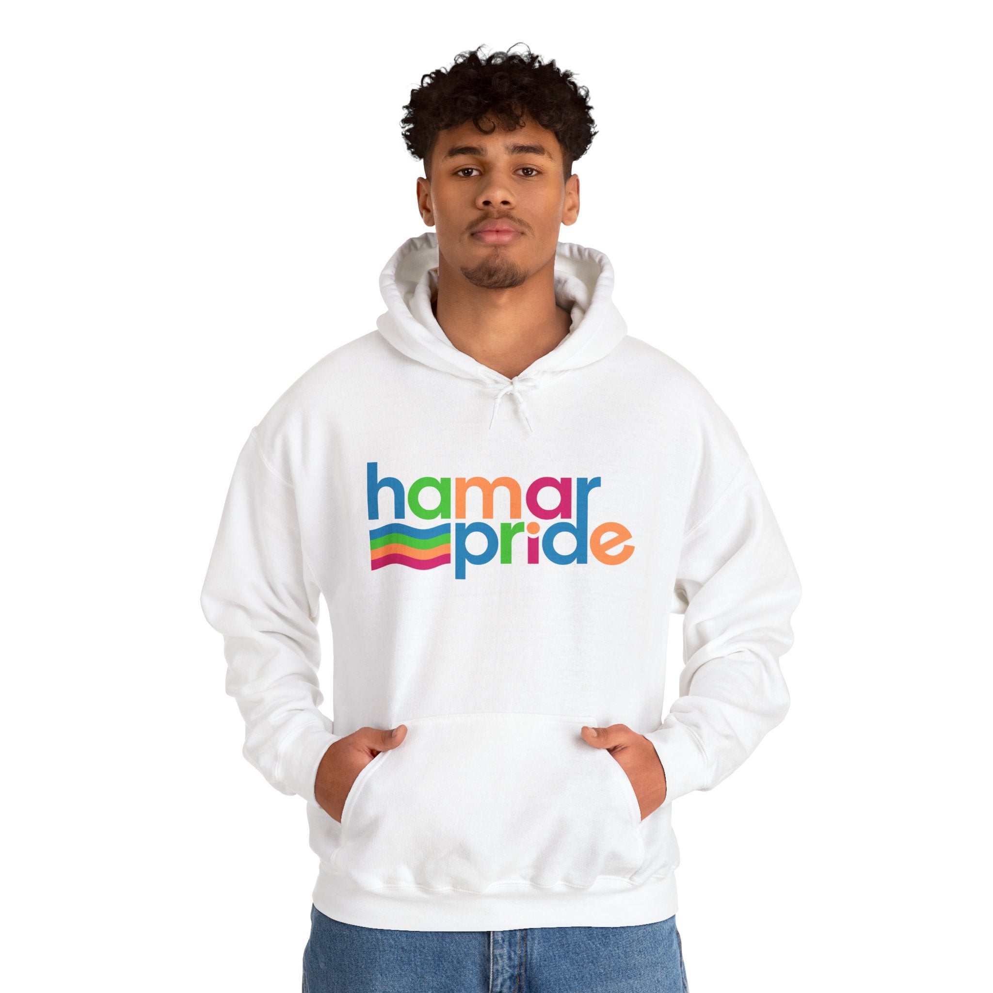 Copy of Hamar Pride Hoodie — Panromantic Pride