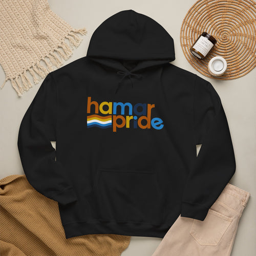 Hamar Pride Hoodie — Aroace Pride