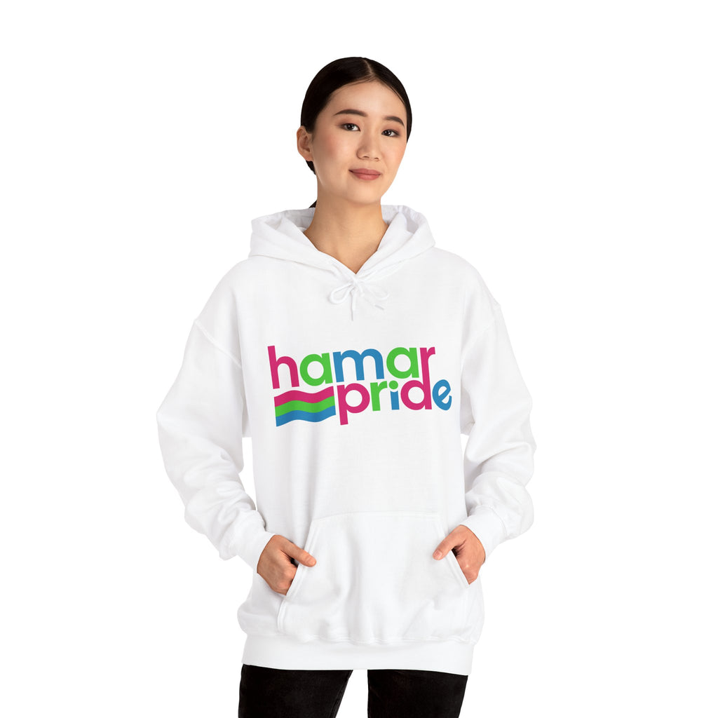 Hamar Pride Hoodie — Polysexual Pride