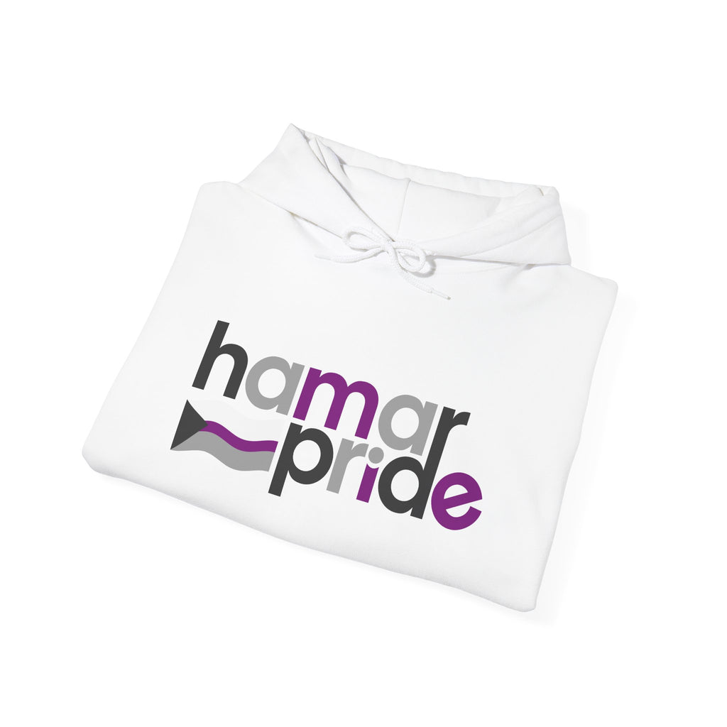 Hamar Pride Hoodie — Demisexual Pride