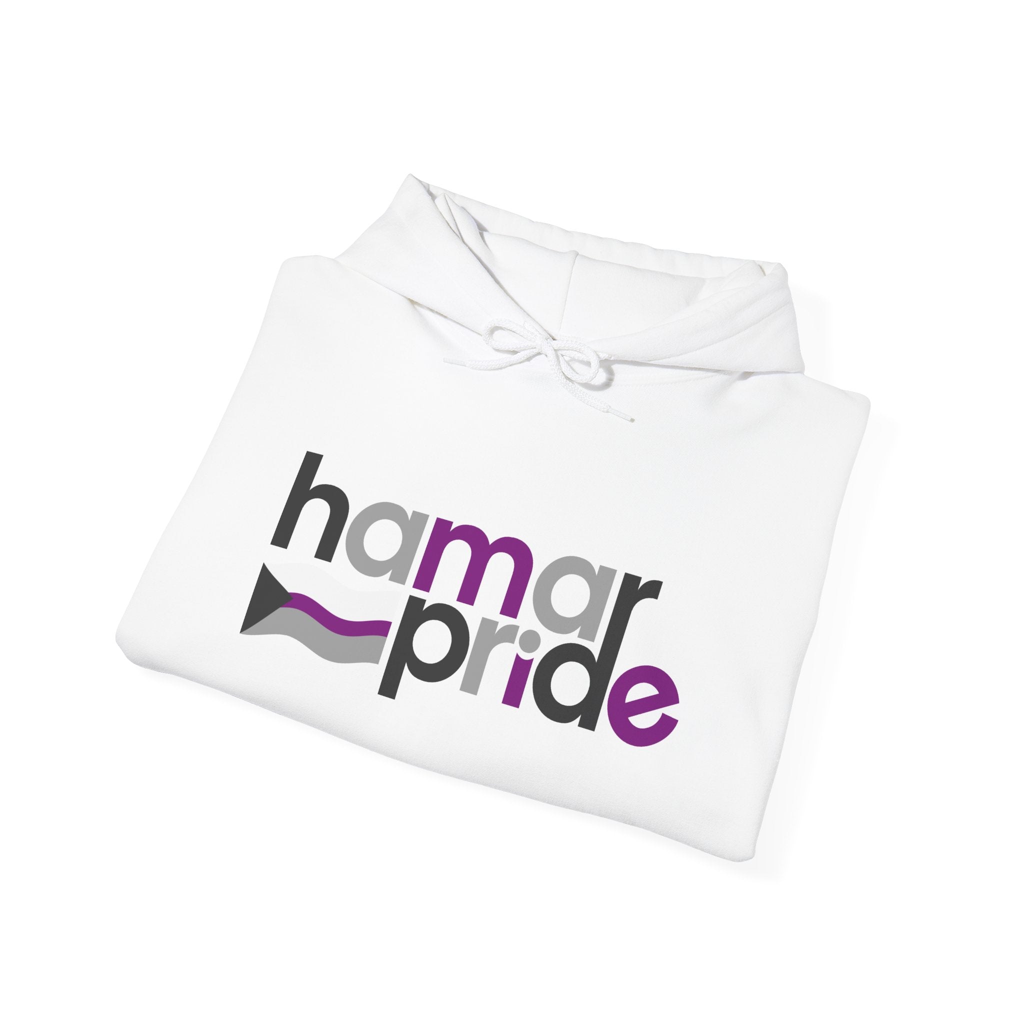 Hamar Pride Hoodie — Demisexual Pride