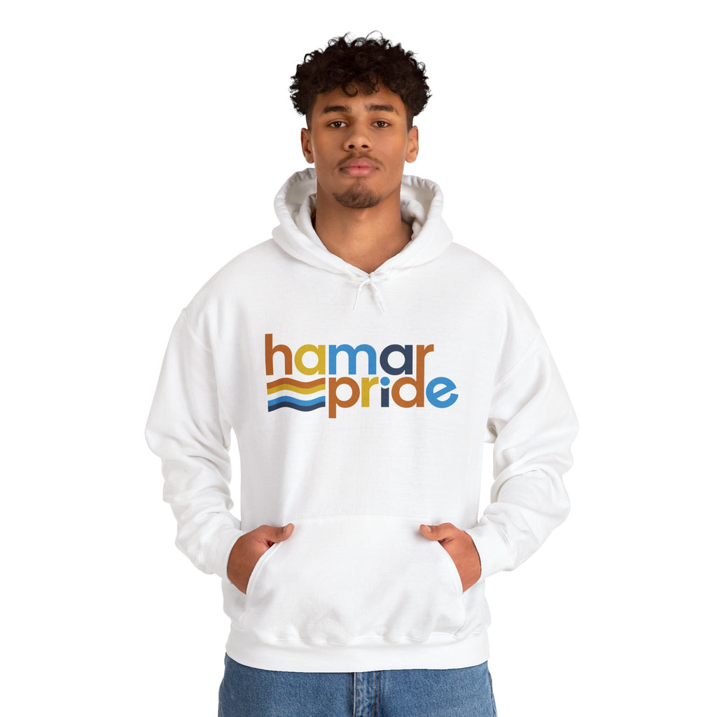 Hamar Pride Hoodie — Aroace Pride