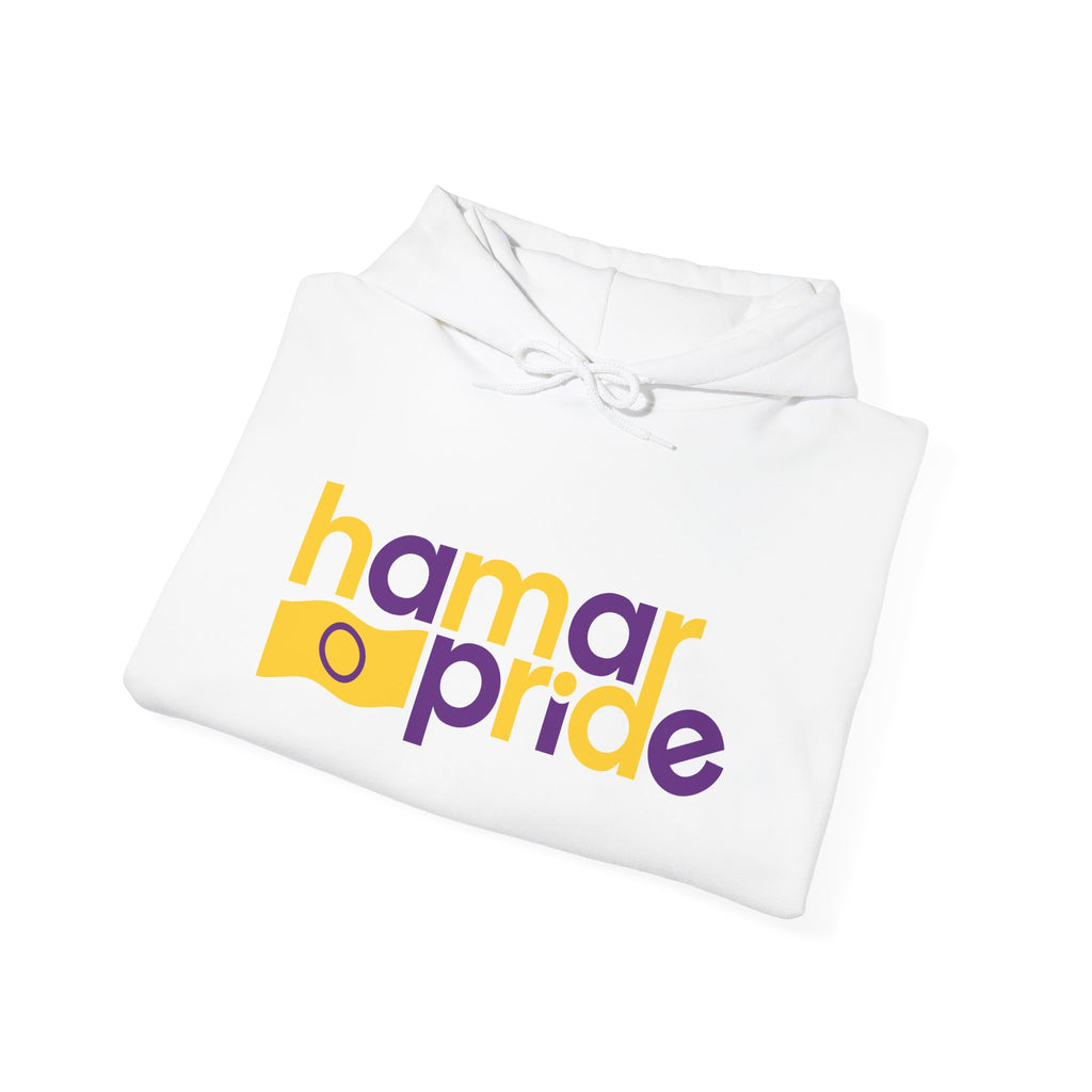 Hamar Pride Hoodie — Intersex Pride