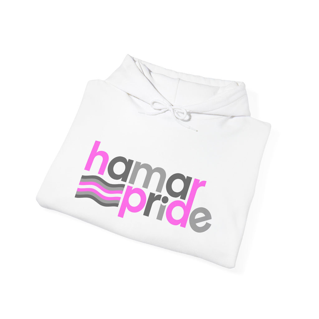 Hamar Pride Hoodie — Demigirl Pride