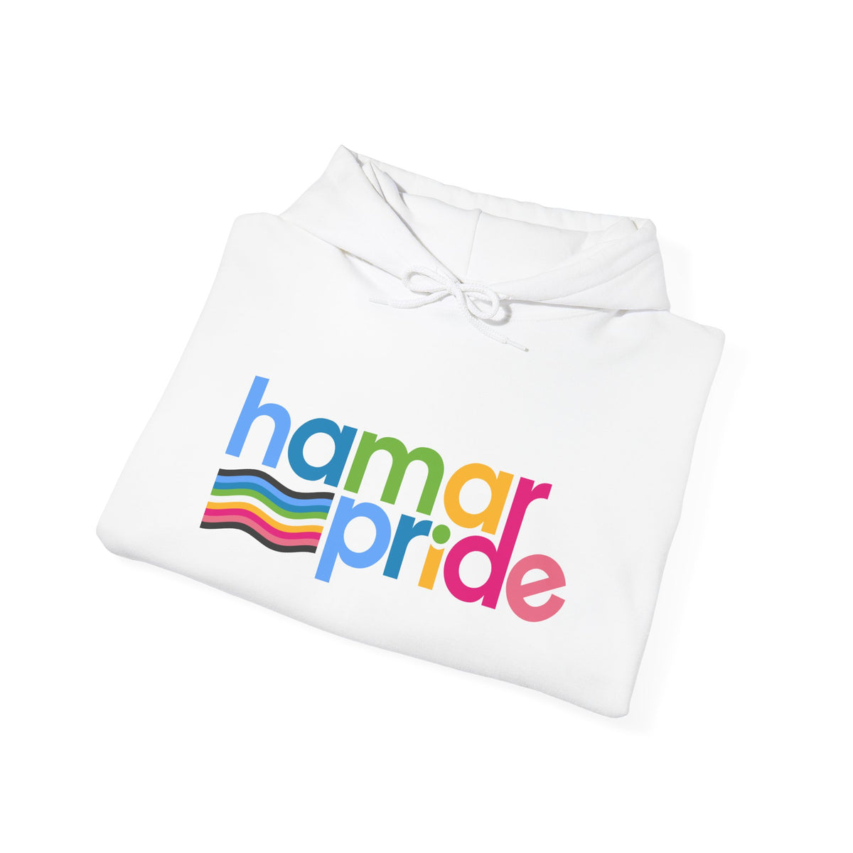 Hamar Pride Hoodie — Queer Pride