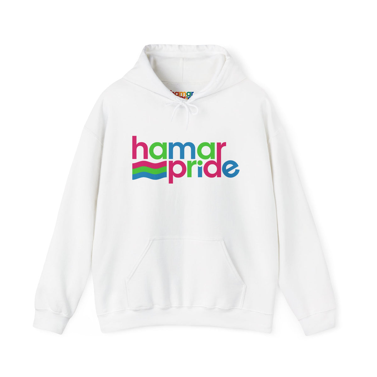 Hamar Pride Hoodie — Polysexual Pride