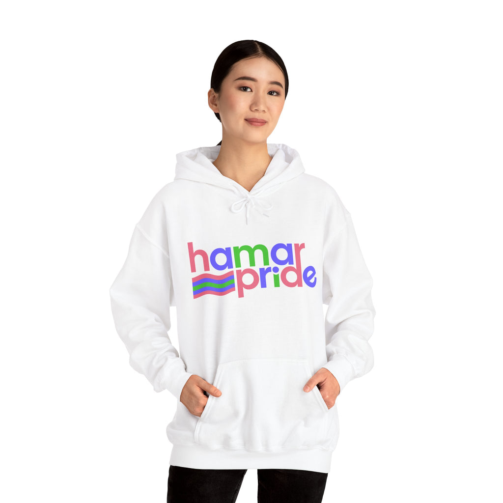 Hamar Pride Hoodie — Trigender Pride