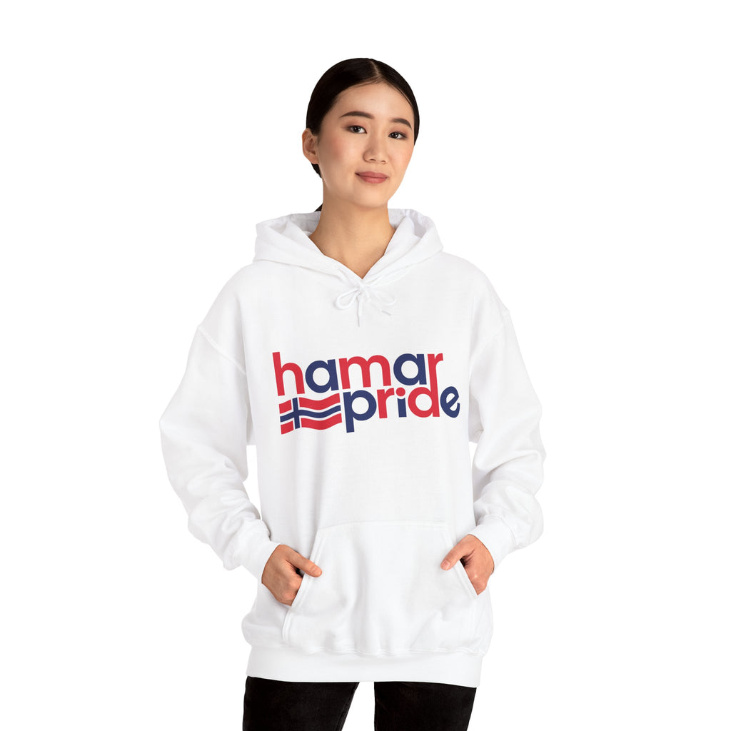 Hamar Pride Hoodie — Norway Pride
