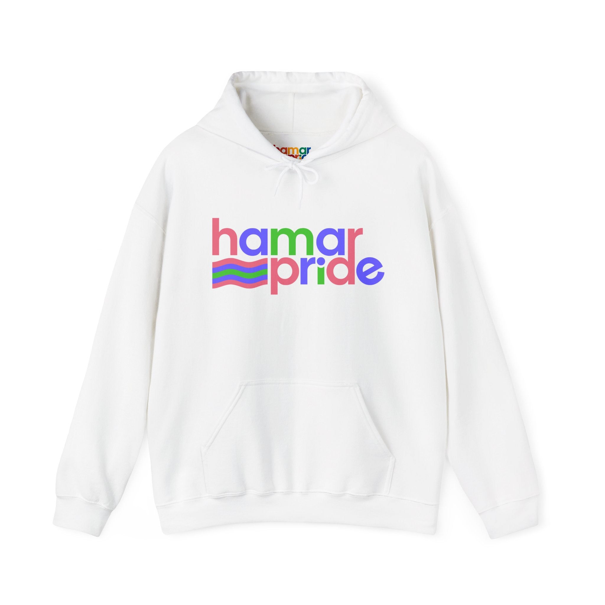 Hamar Pride Hoodie — Trigender Pride