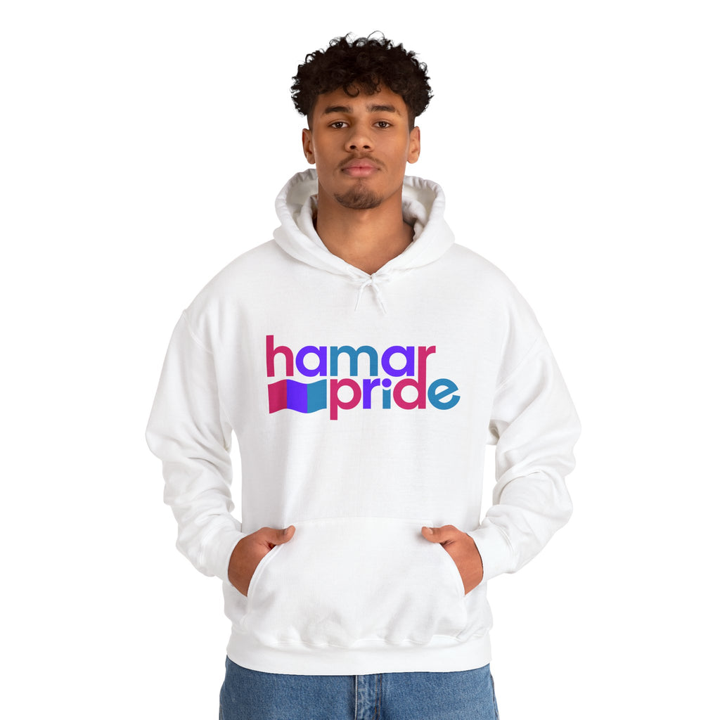 Copy of Hamar Pride Hoodie — Androgyne Pride