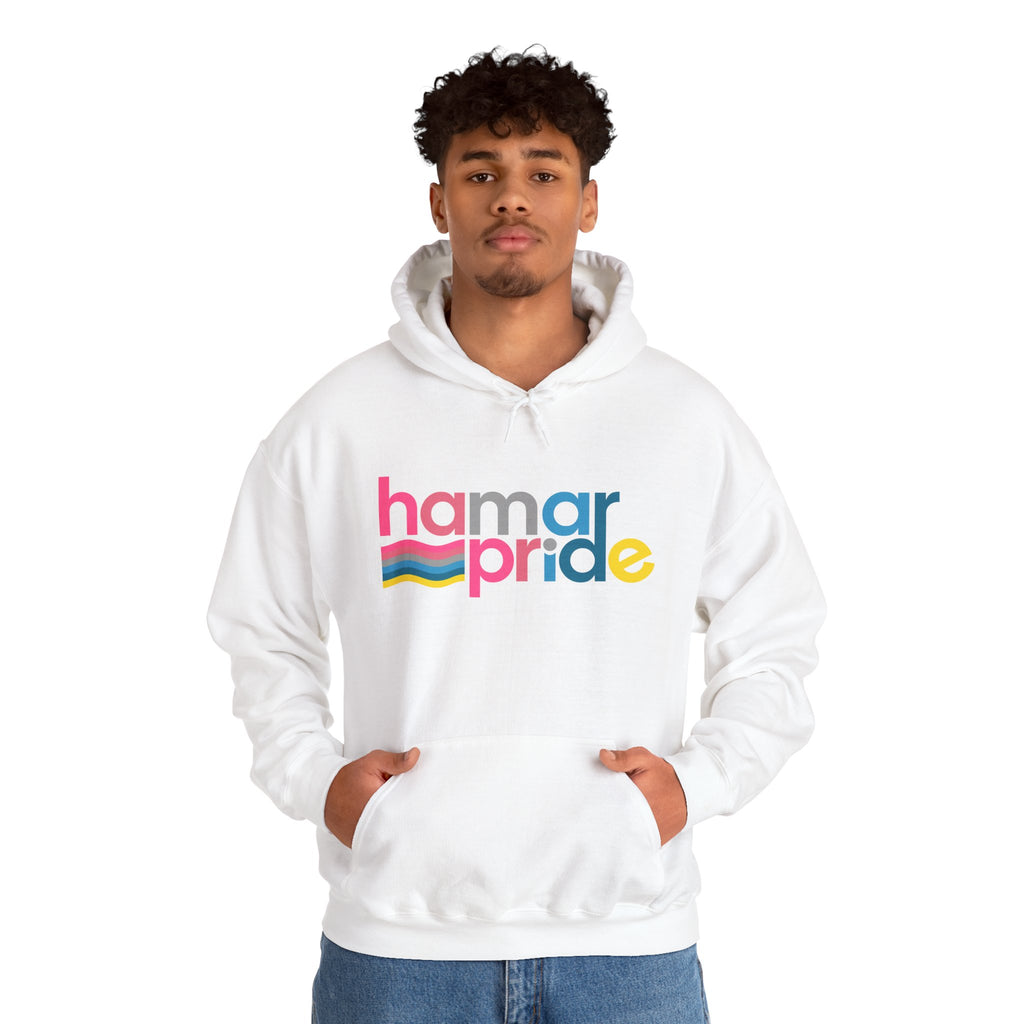 Copy of Hamar Pride Hoodie — Genderflux Pride