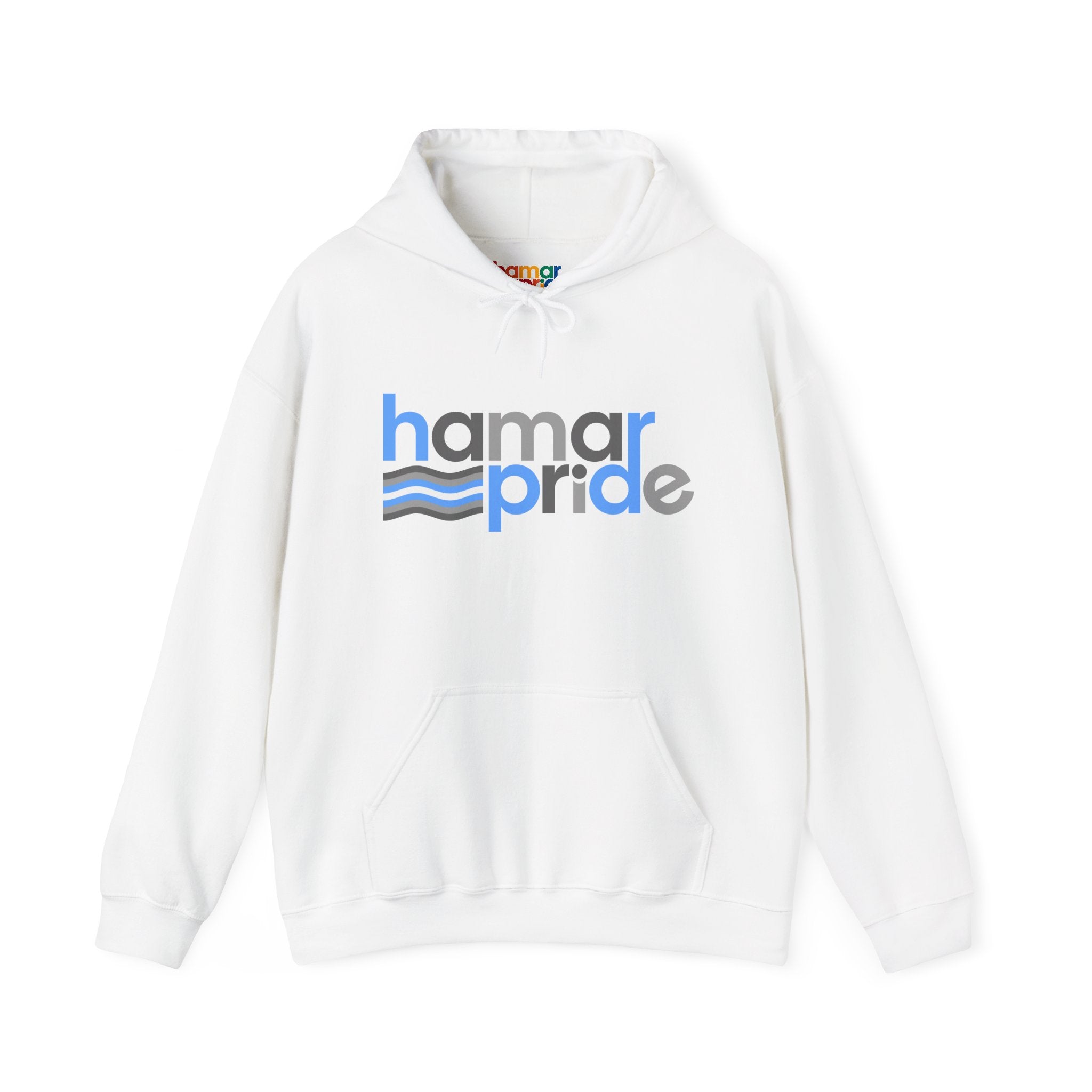 Hamar Pride Hoodie — Demiboy Pride