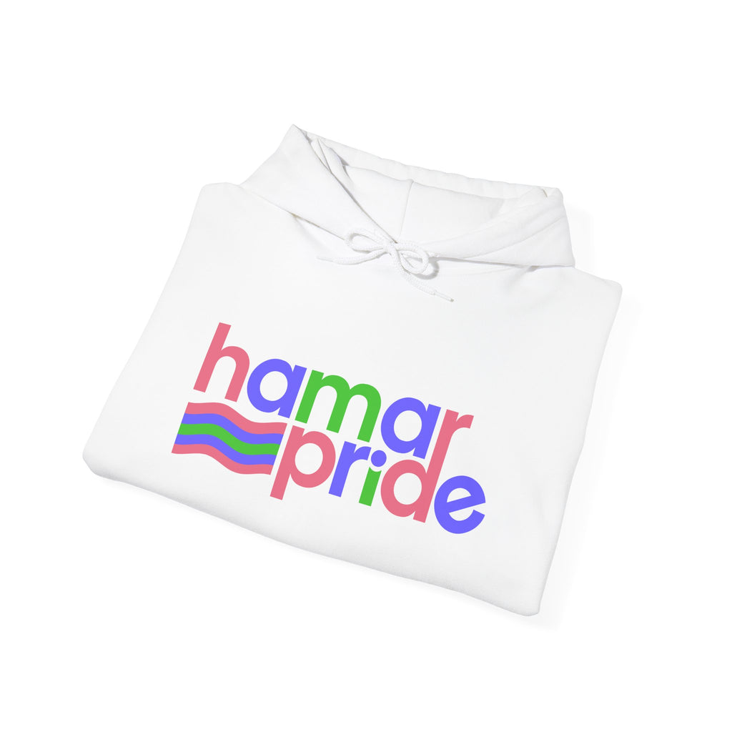 Hamar Pride Hoodie — Trigender Pride