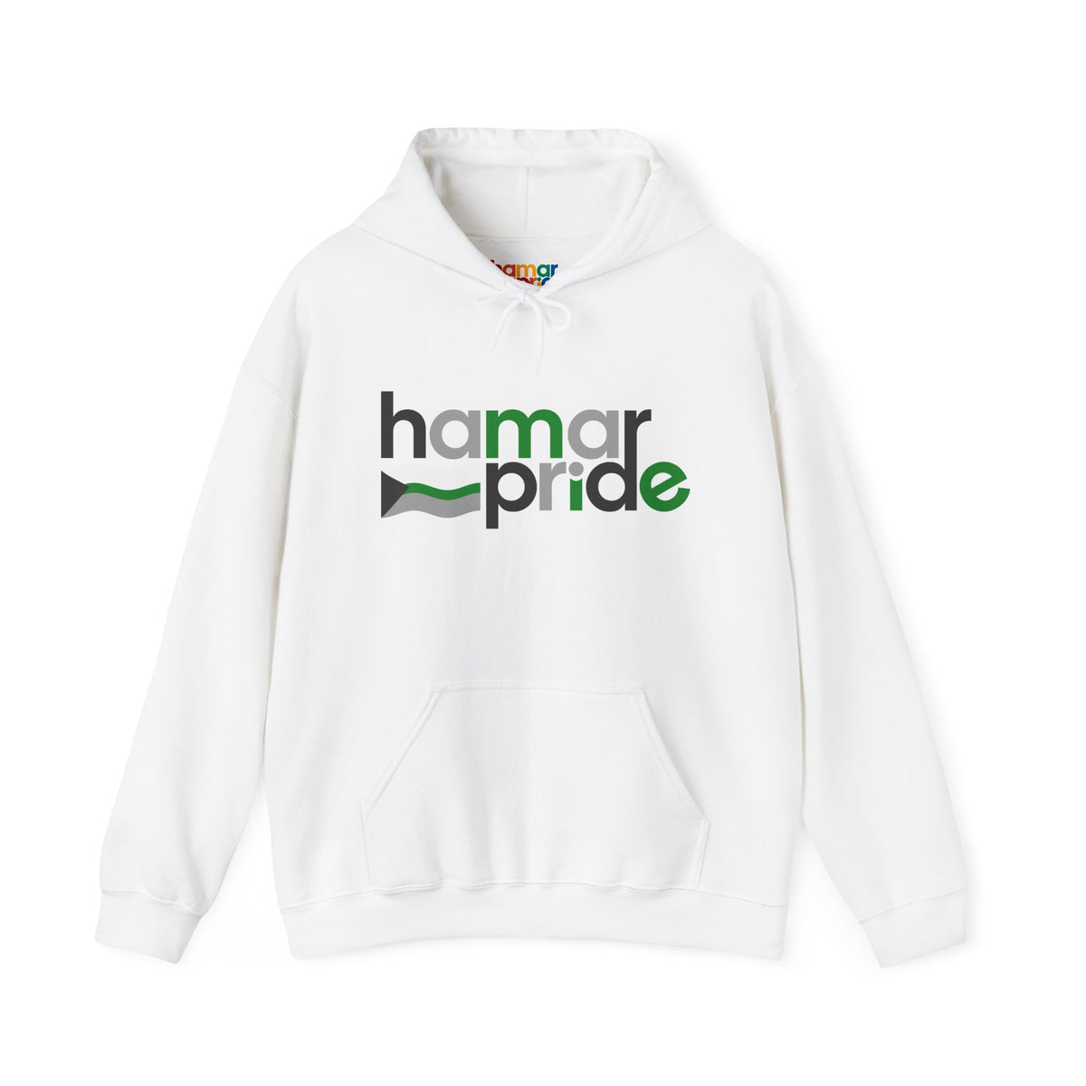 Hamar Pride Hoodie — Demiromantic Pride