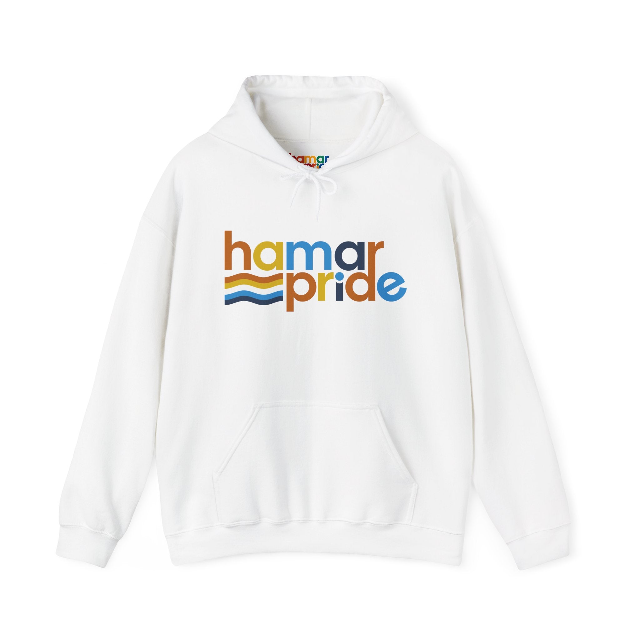 Hamar Pride Hoodie — Aroace Pride