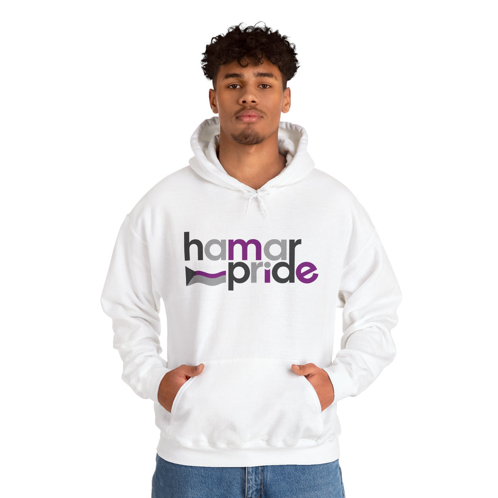 Hamar Pride Hoodie — Demisexual Pride