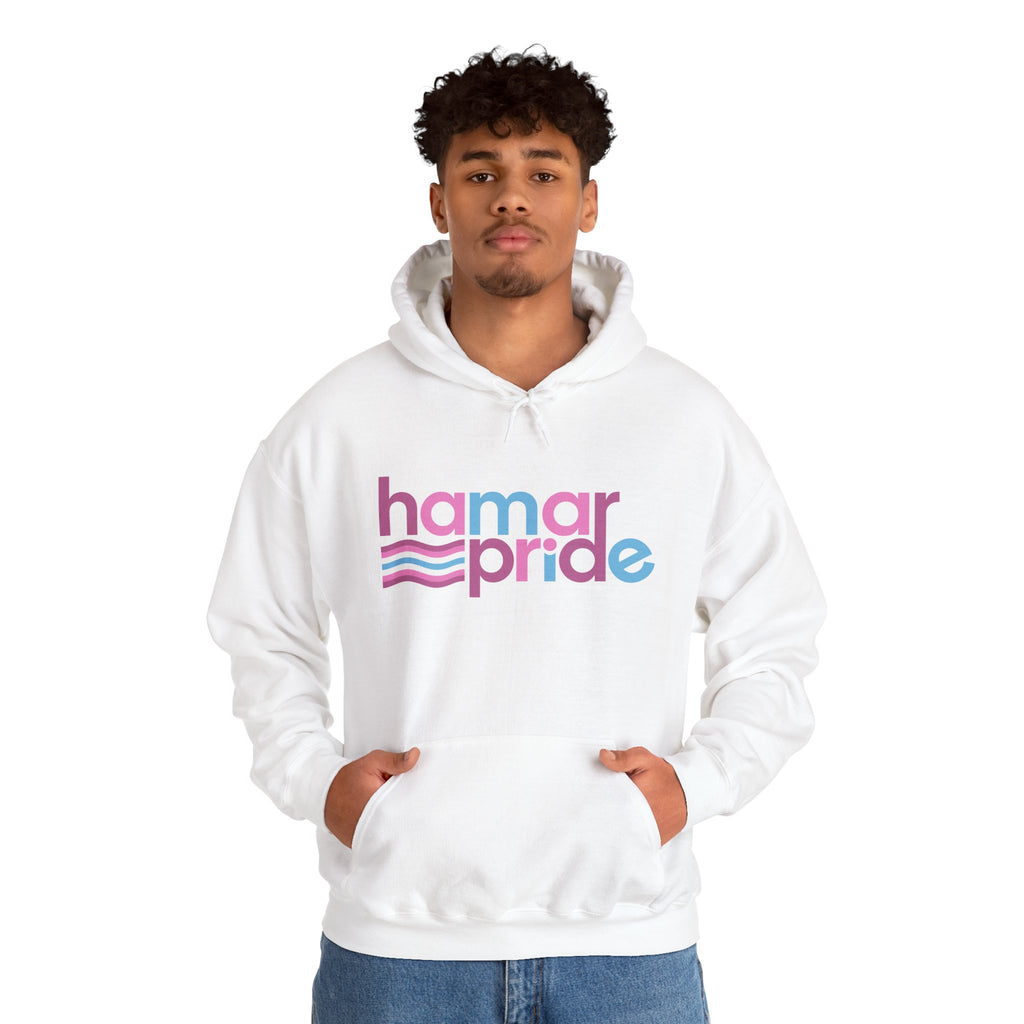 Hamar Pride Hoodie — Femboy Pride
