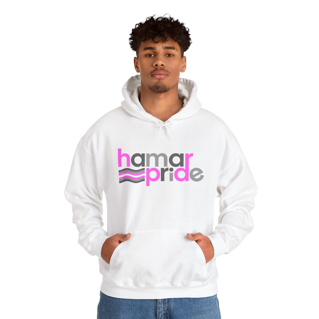 Hamar Pride Hoodie — Demigirl Pride