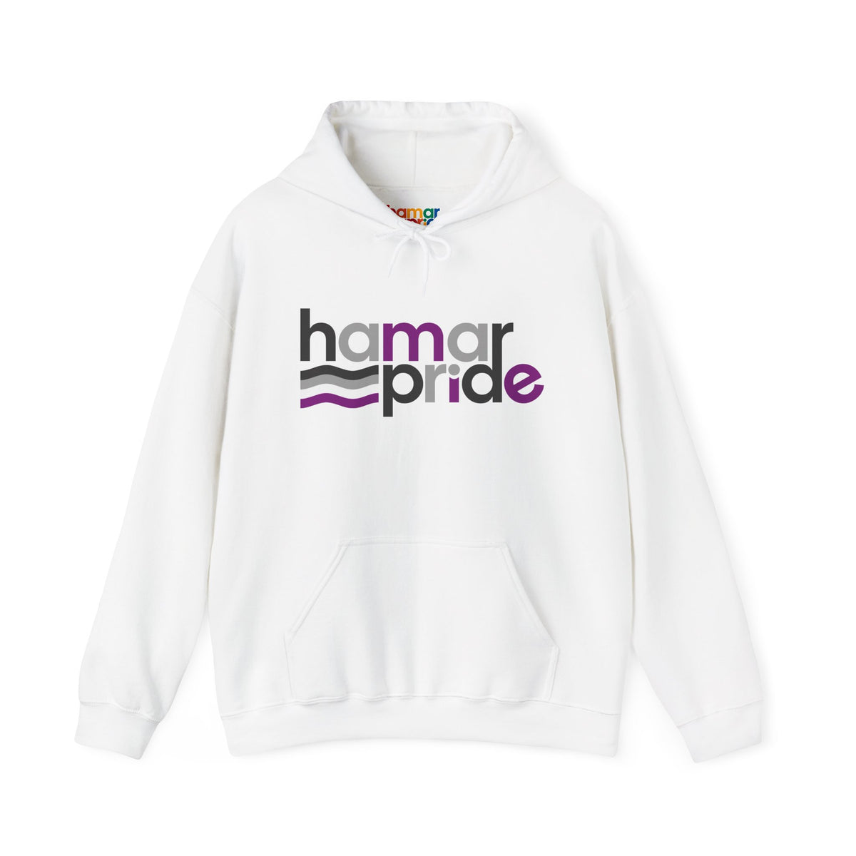Hamar Pride Hoodie — Asexual Pride