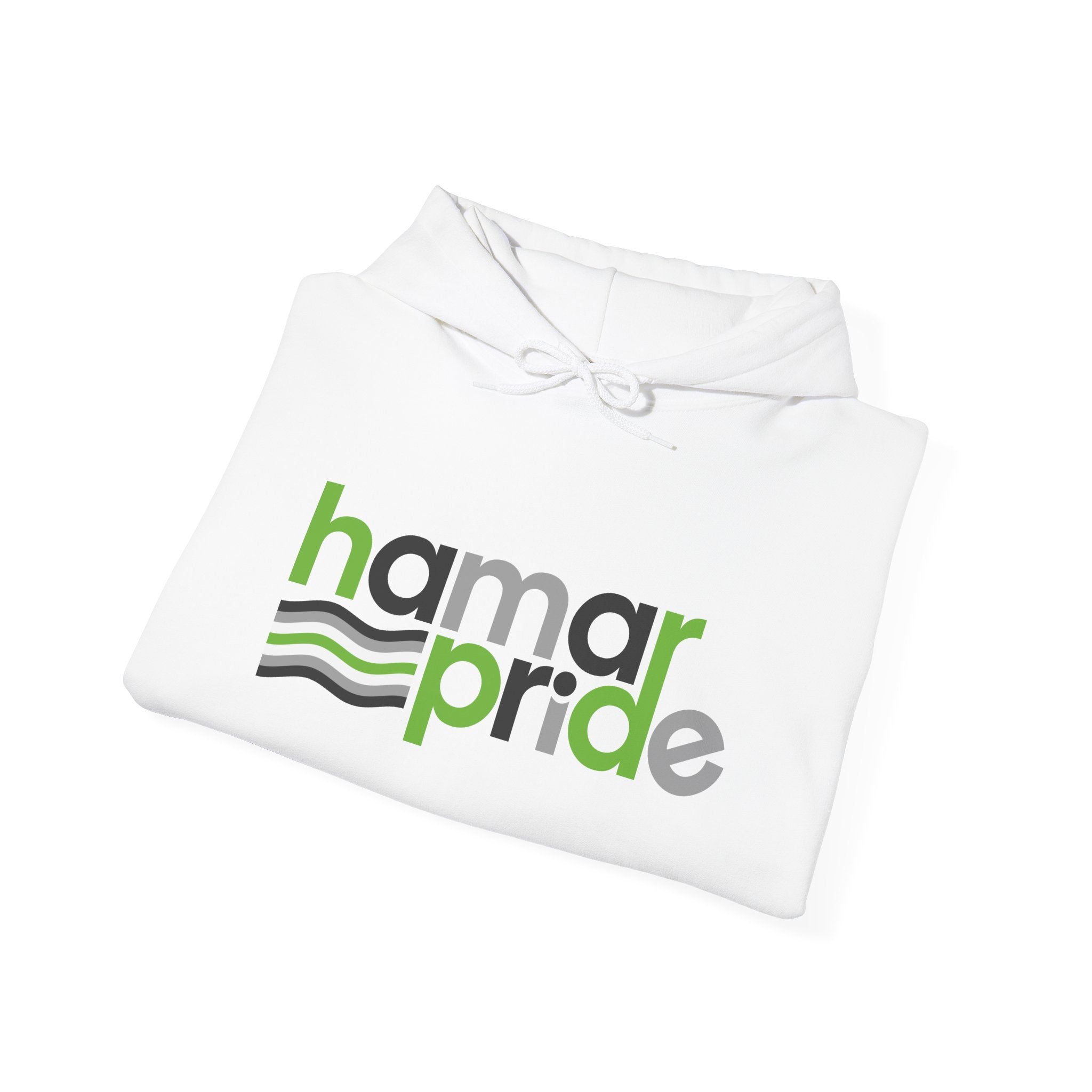 Hamar Pride Hoodie — Agender Pride