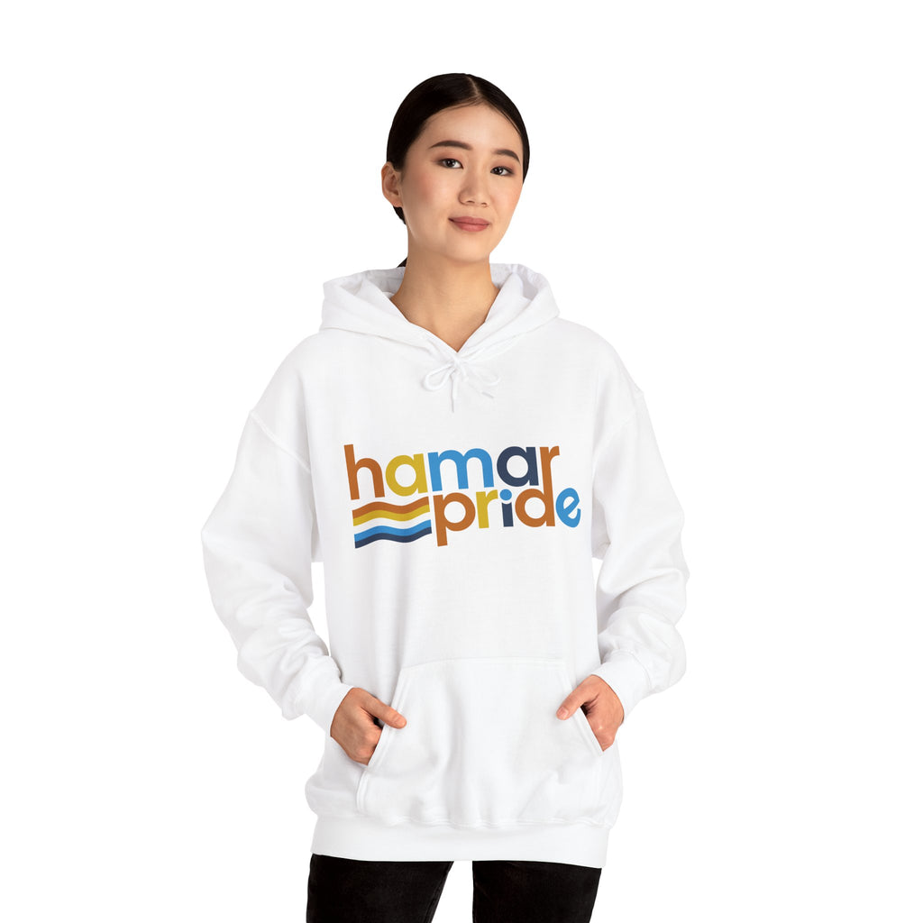 Hamar Pride Hoodie — Aroace Pride