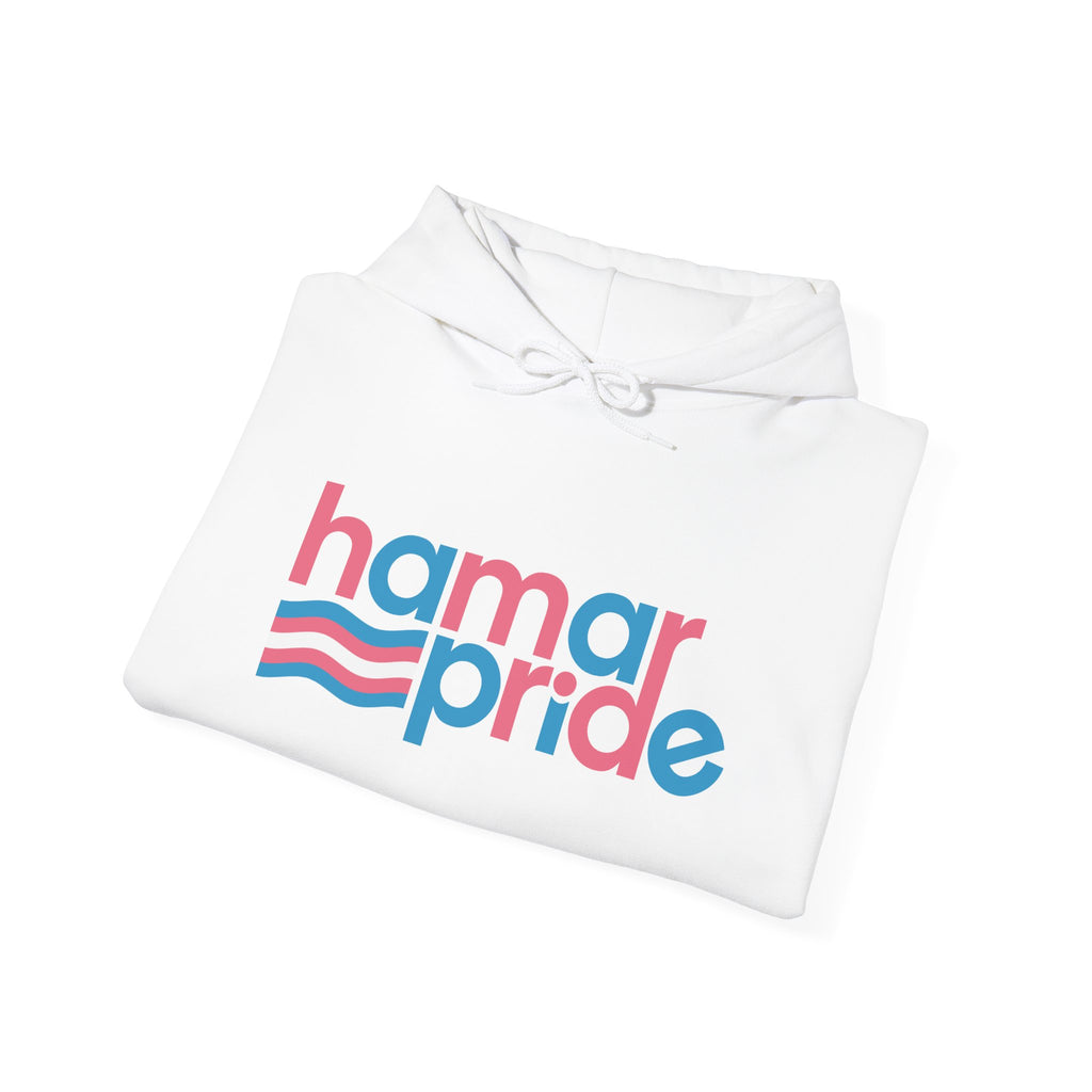 Hamar Pride Hoodie — Trans Pride