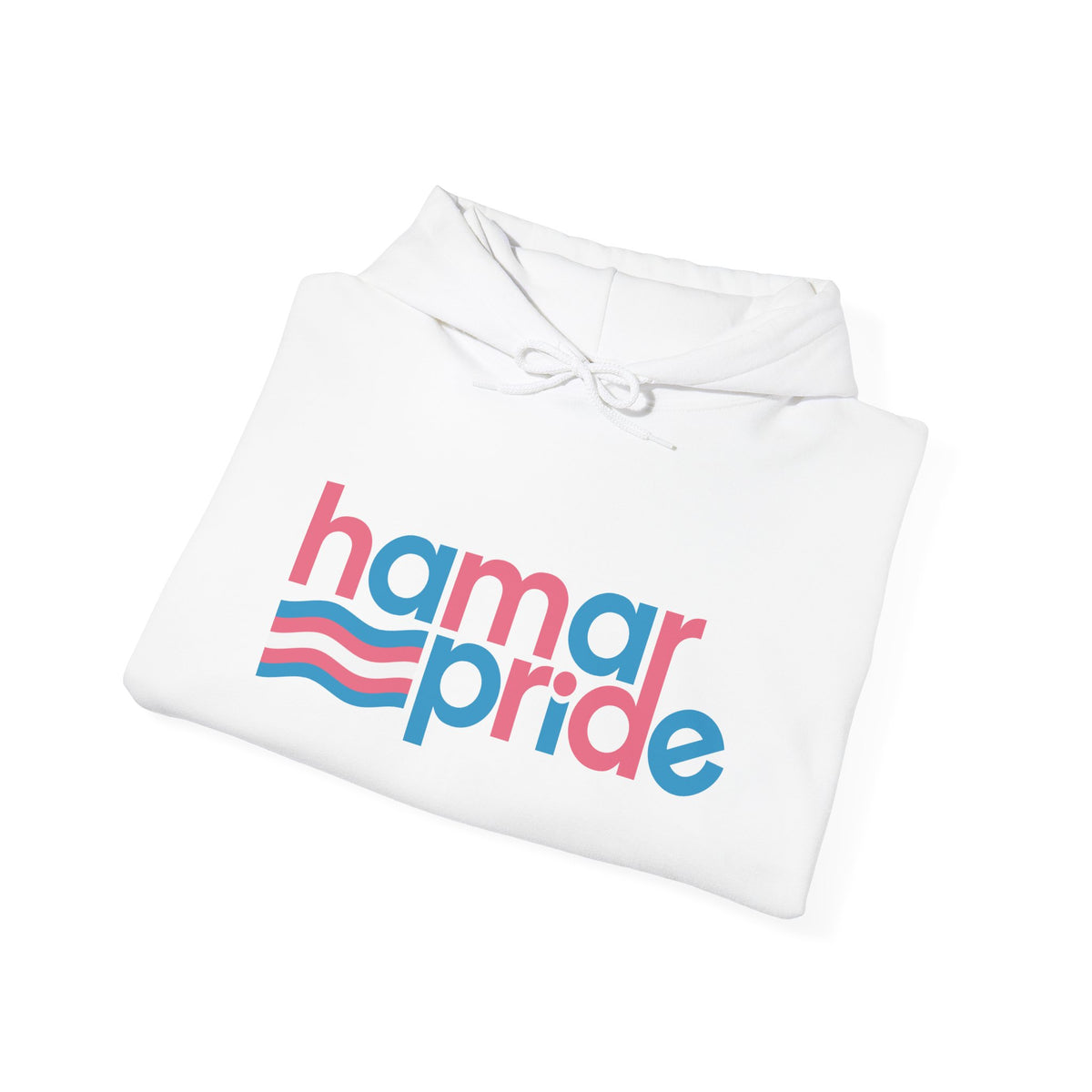 Hamar Pride Hoodie — Trans Pride