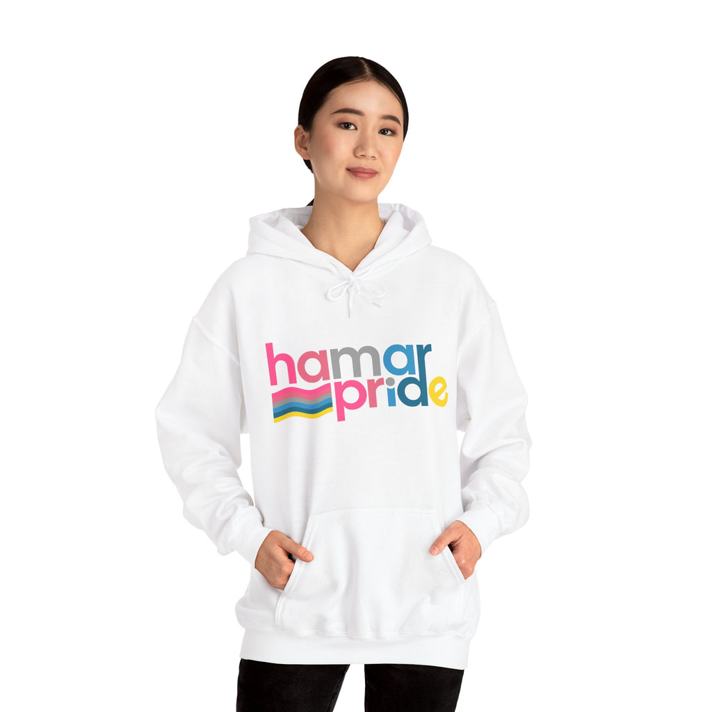 Copy of Hamar Pride Hoodie — Genderflux Pride